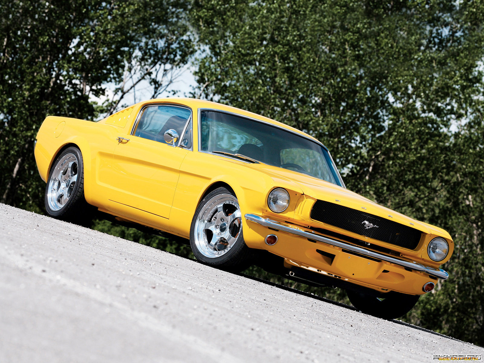, ford